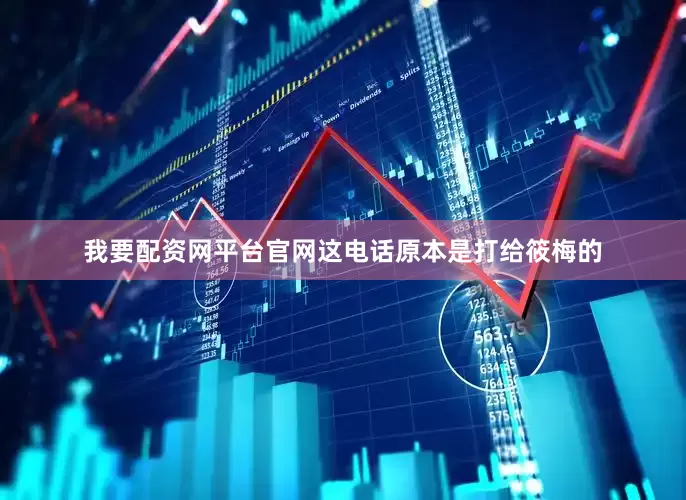 我要配资网平台官网这电话原本是打给筱梅的