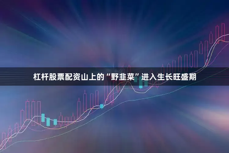 杠杆股票配资山上的“野韭菜”进入生长旺盛期