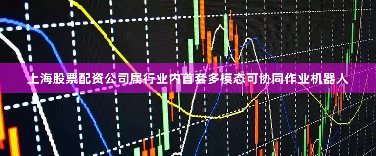 上海股票配资公司属行业内首套多模态可协同作业机器人
