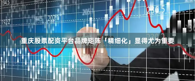重庆股票配资平台品牌矩阵「精细化」显得尤为重要